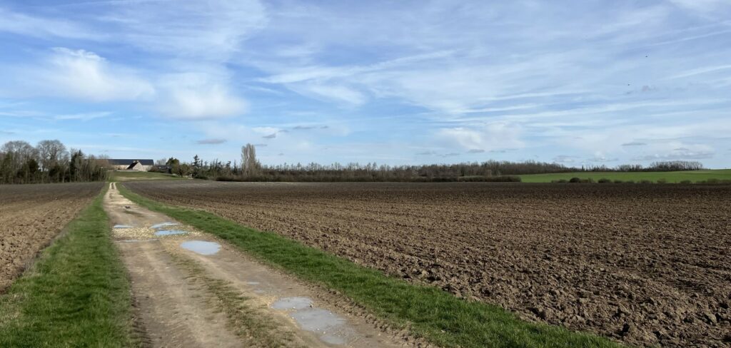 Parc éolien et agrivoltaïque de Sainte-Thorette​